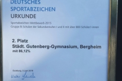 GuGy Sportabzeichen NRW 2016 (2)